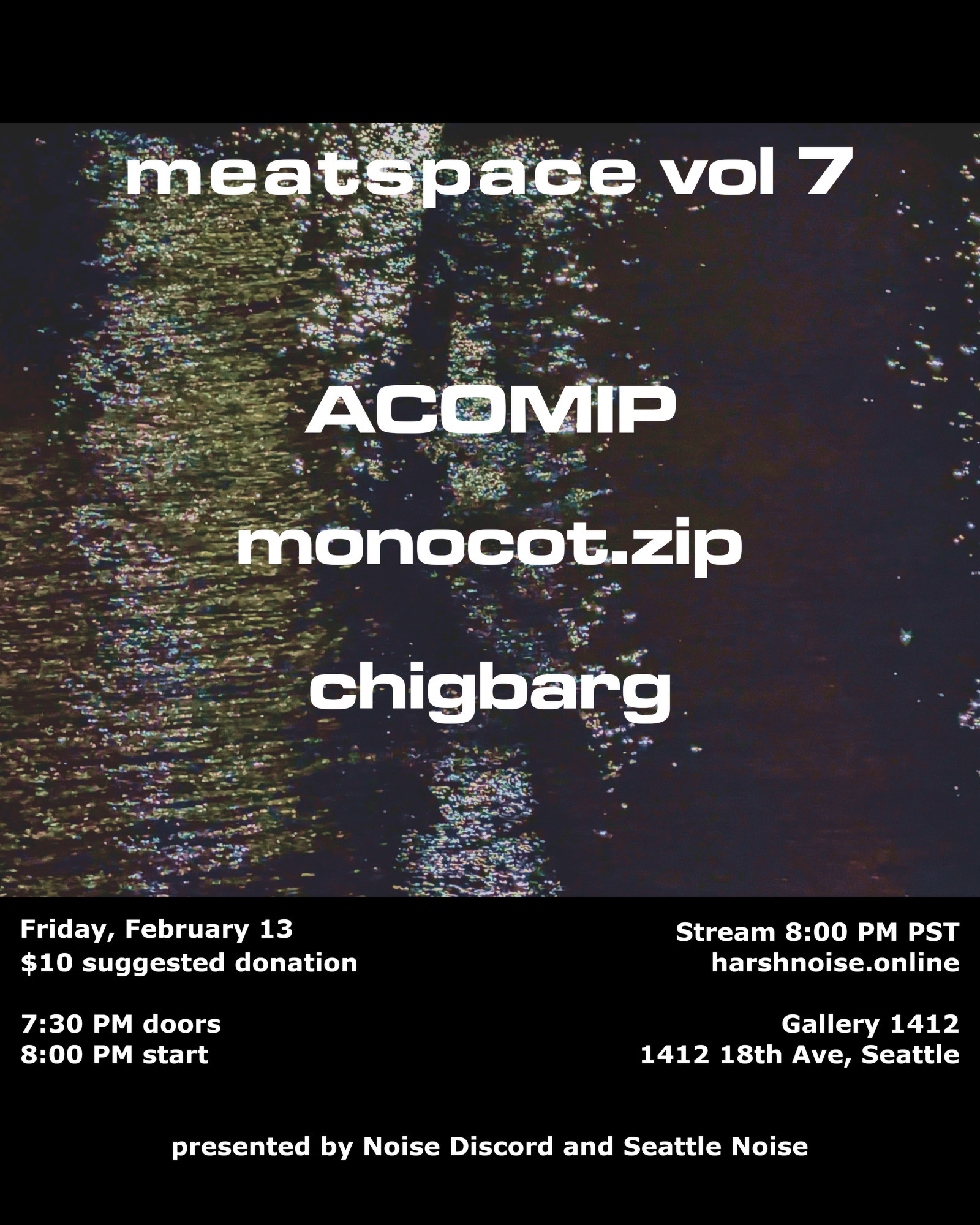 flyer for meatspace vol 6 featuring performances from ACOMIP / monocot zip / chigbarg